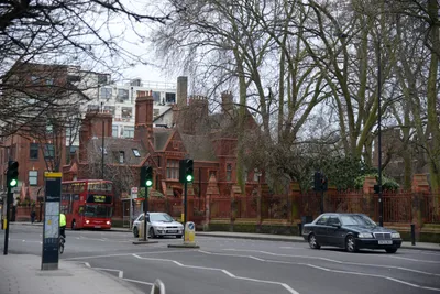 DSC_1184 (Large).JPG